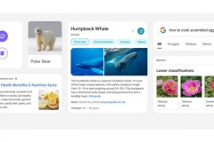 Ứng dụng Google Search chuẩn bị có giao diện kết quả tìm kiếm mới tròn hơn và hiện đại hơn
