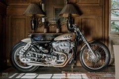 Bản độ Harley-Davidson Sportster với phong cách đến từ Nhật Bản