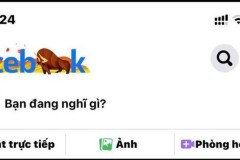 Facebook đổi logo trâu vàng và cành đào đón Tết, Google bắn pháo hoa tưng bừng