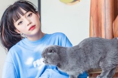 Linh Ngọc Đàm chi lớn 100 triệu để đón nàng mèo về dinh