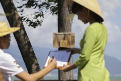 Thị trường du lịch nội địa biến động mạnh bởi dịch Covid-19