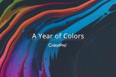 ViewSonic công bố Cuộc thi ảnh toàn cầu với chủ đề “A Year Of Colors”