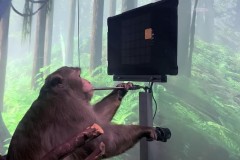 Neuralink của Elon Musk huấn luyện khỉ dùng ý nghĩ để chơi game