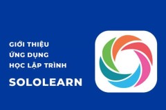 Ứng dụng học lập trình SoloLearn