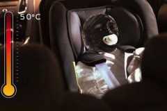 Ford phát triển hệ thống cảnh báo kiểm tra hàng ghế sau, giúp tránh quên trẻ em hoặc thú cưng