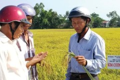 Nắm bắt xu thế, hướng đến nền nông nghiệp “thông minh”