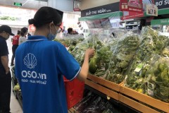 Sàn TMĐT Vỏ Sò sẵn sàng triển khai dịch vụ “đi chợ hộ” trên toàn quốc