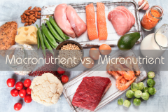 Biết về dinh dưỡng đa lượng và dinh dưỡng vi lượng để xây dựng chế độ ăn hợp lí