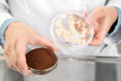Sau thịt bò, đến lượt cà phê được "trồng" trong phòng thí nghiệm