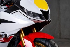 Cận cảnh Yamaha R125 2022 phiên bản Kỷ niệm, trang bị ăn đứt R15 thần thánh