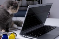 Hướng dẫn kích hoạt hệ điều hành Windows 10 bản quyền trên Laptop Hyundai Hybook Celeron