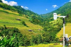 "Số hóa" công tác dự tính, dự báo sâu bệnh hại