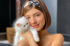 Chính phủ Anh đang xem xét đưa việc trộm chó mèo trở thành tội hình sự