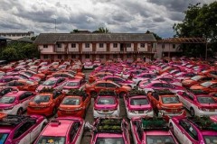 Xe taxi ế khách được tận dụng để trồng rau trong mùa dịch