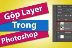 Hướng dẫn cách gộp Layer trong Photoshop để bạn dễ dàng quản lý hơn