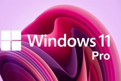 Hướng dẫn cách nâng cấp Windows 11 Home lên Windows 11 Pro
