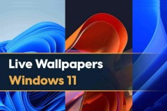 Cách cài đặt hình nền động trong Windows 11