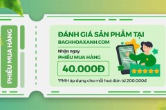 Đánh giá sản phẩm Bách hoá XANH, nhận liền phiếu mua hàng, xem ngay!