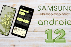 Khi nào Samsung cập nhật Android 12, thiết bị Samsung nào được hỗ trợ?