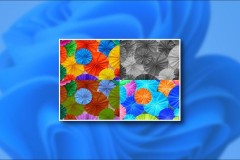 Cách đổi màu màn hình máy tính Windows 11 phù hợp cho người khiếm thị