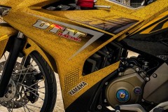 Ex 150 độ bộ áo Carbon hoàng kim đẹp tới nao lòng
