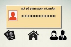 Mã định danh cá nhân là gì? Cách tra cứu mã định danh cá nhân vô cùng đơn giản và dễ dàng