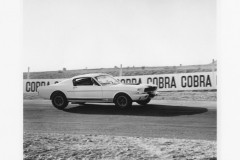 “Hàng khủng” Shelby Mustang GT350 R 1965 đầu tiên sắp được đưa lên sàn đấu giá, kỳ vọng lập kỷ lục mới