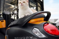 Scoopy 2022 trình làng diện mạo mới làm người hâm mộ sôi sục