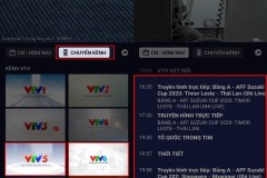 Cách xem AFF SUZUKI Cup 2020 để bạn không bỏ lỡ bất kì trận đấu nào