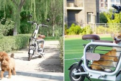 Xe điện Mopet không chỉ nhỏ gọn mà còn được tích hợp cả... chuồng dành cho thú cưng