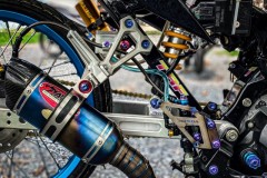 Sonic độ tới nái trông vô cùng nóng bỏng với vẻ ngoài trần trụi