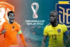 World Cup 2022: Nhận định tỷ số trận đấu giữa Hà Lan - Ecuador. Cuộc chiến cho ngôi vị đầu bảng A
