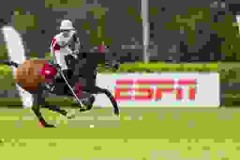 Global Polo Entertainment Extends Historic Agreement With ESPN Through 2024 to Broaden Access to the Action-Packed Sport of Polo, Presented by U.S. Polo Assn.