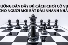 Hướng dẫn đầy đủ cách chơi cờ vua cho người mới bắt đầu nhanh nhất
