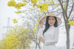 Giới trẻ đua nhau về con đường hoa phong linh chụp ảnh