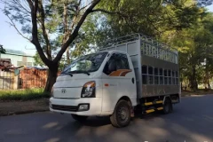 Hyundai Porter H150: Xe tải nhỏ chở gia súc, chở heo tải trọng 1.2 tấn