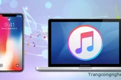 Cài đặt nhạc chuông cho iPhone miễn phí nhanh chóng nhất 2023