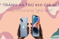 Mẫu iPhone bị “ghẻ lạnh” bởi chuyên gia châu Âu: “Tránh xa trừ khi giá hời!”
