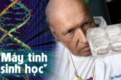 Các nhà khoa học phát triển mục tiêu “Máy tính sinh học” với việc sử dụng tế bào não người