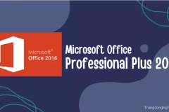 Kích hoạt bản quyền Key Microsoft Office Professional Plus 2016 vĩnh viễn | Cập nhật miễn phí