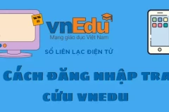Cách đăng nhập tra cứu vnedu nhanh chóng và đơn giản trên máy tính/điện thoại