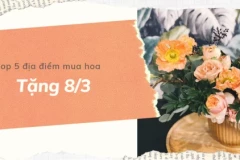 Top 5 địa điểm mua hoa tặng 8/3 siêu đẹp, giá rẻ tại Hà Nội