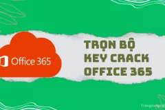 Trọn bộ Key Crack Office 365 và hướng dẫn kích hoạt phần mềm nhanh chóng nhất