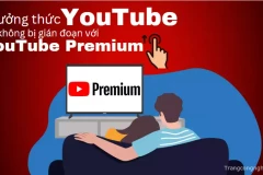 Thưởng thức YouTube không bị gián đoạn với YouTube Premium Việt Nam - Đăng ký ngay!