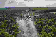 Quan sát ứng dụng rộng rãi của Drone XAG trong canh tác chuối và sầu riêng tại Việt Nam