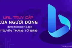 URL truy cập của người dùng được Microsoft Edge truyền thẳng tới Bing