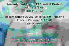Loại vắc-xin xuất hiện lần đầu tiên trên thế giới: Vắc-xin protein COVID-19 đa trị tái tổ hợp chống lại các biến thể XBB của WestVac Biopharma/Trung tâm Y tế Tây Trung Quốc, Đại học Tứ Xuyên đã được Cục Quản lý Sản phẩm Y tế Quốc gia Trung Quốc phê duyệt