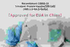 Trung Quốc chấp thuận vắc-xin đầu tiên trên thế giới chống lại biến thể của XBB SARS-COV-2 để sử dụng trong tình huống khẩn cấp