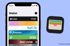 Đánh giá tính an toàn của Apple Pay khi sử dụng