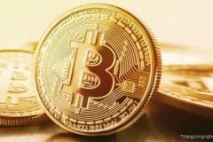 Bitcoin - Thị trường đầu tư hiệu quả của crypto